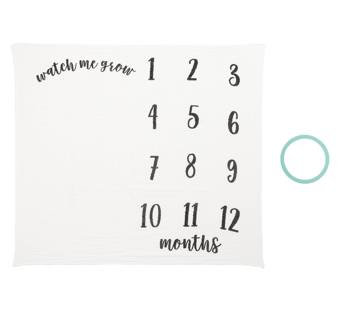 Baby Monthly Milestone Blanket, Photo Prop