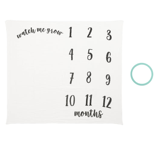 Baby Monthly Milestone Blanket, Photo Prop