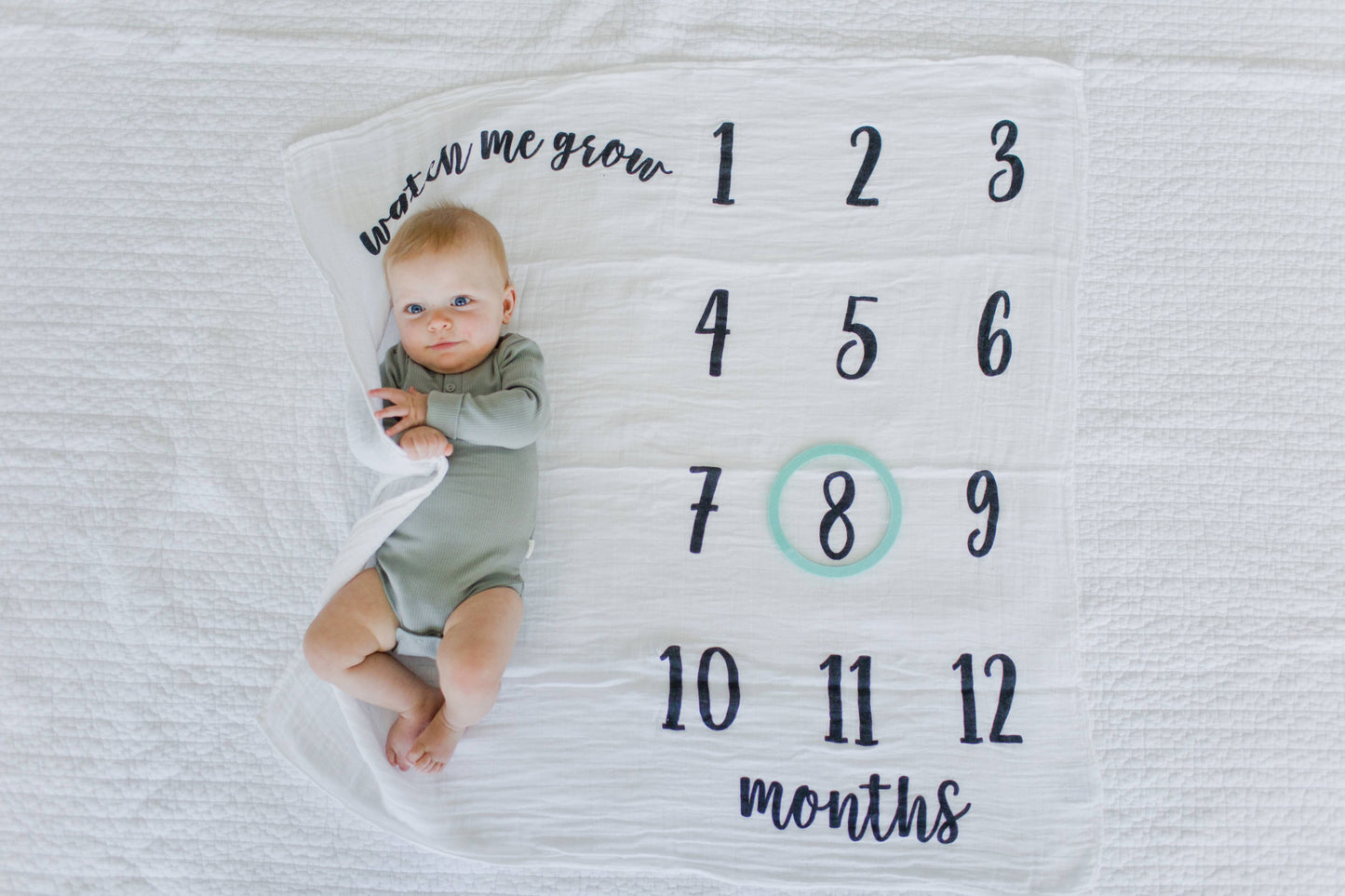 Baby Monthly Milestone Blanket, Photo Prop