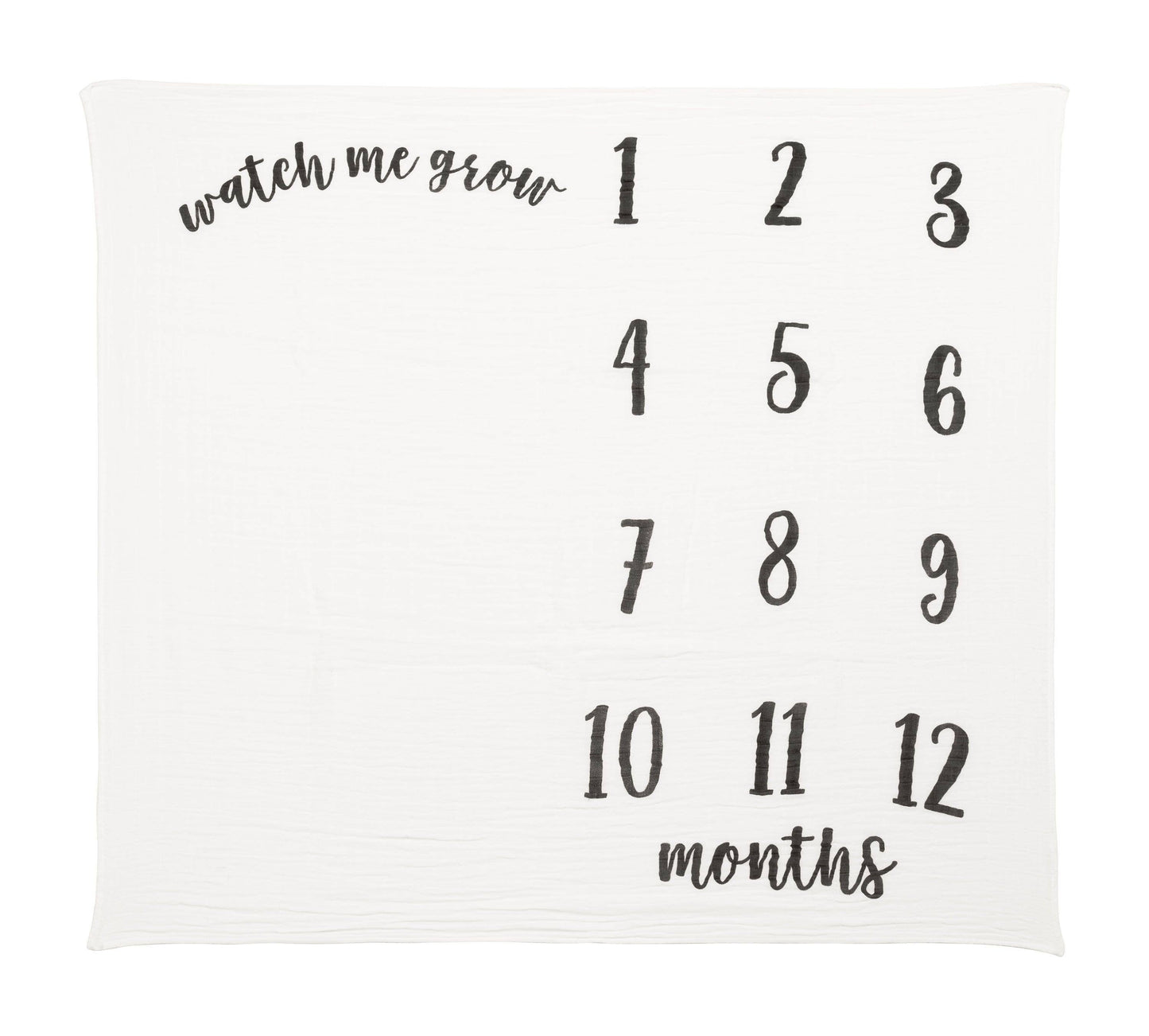 Baby Monthly Milestone Blanket, Photo Prop