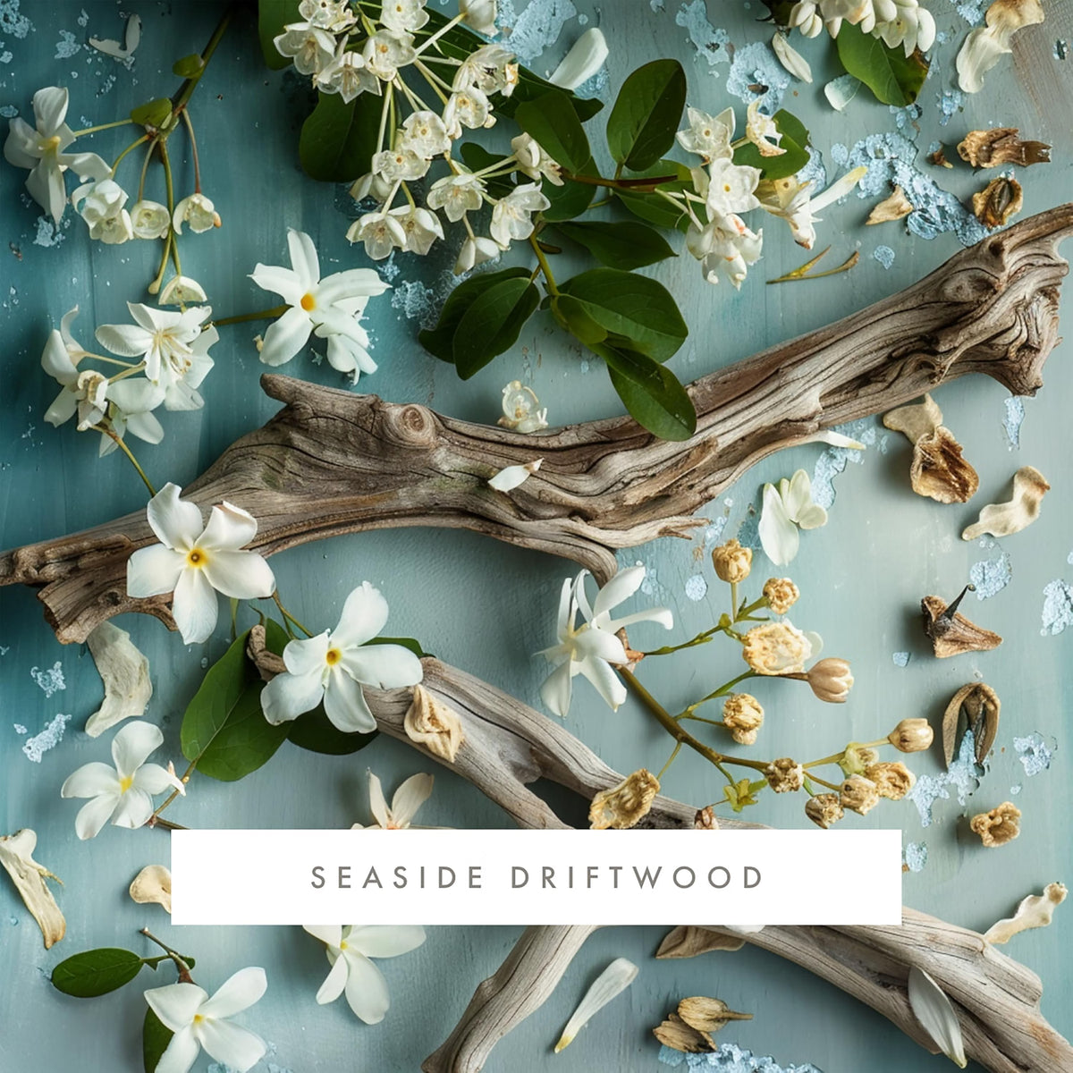 ScentAir Whisper HOME Cartridge - Seaside Driftwood