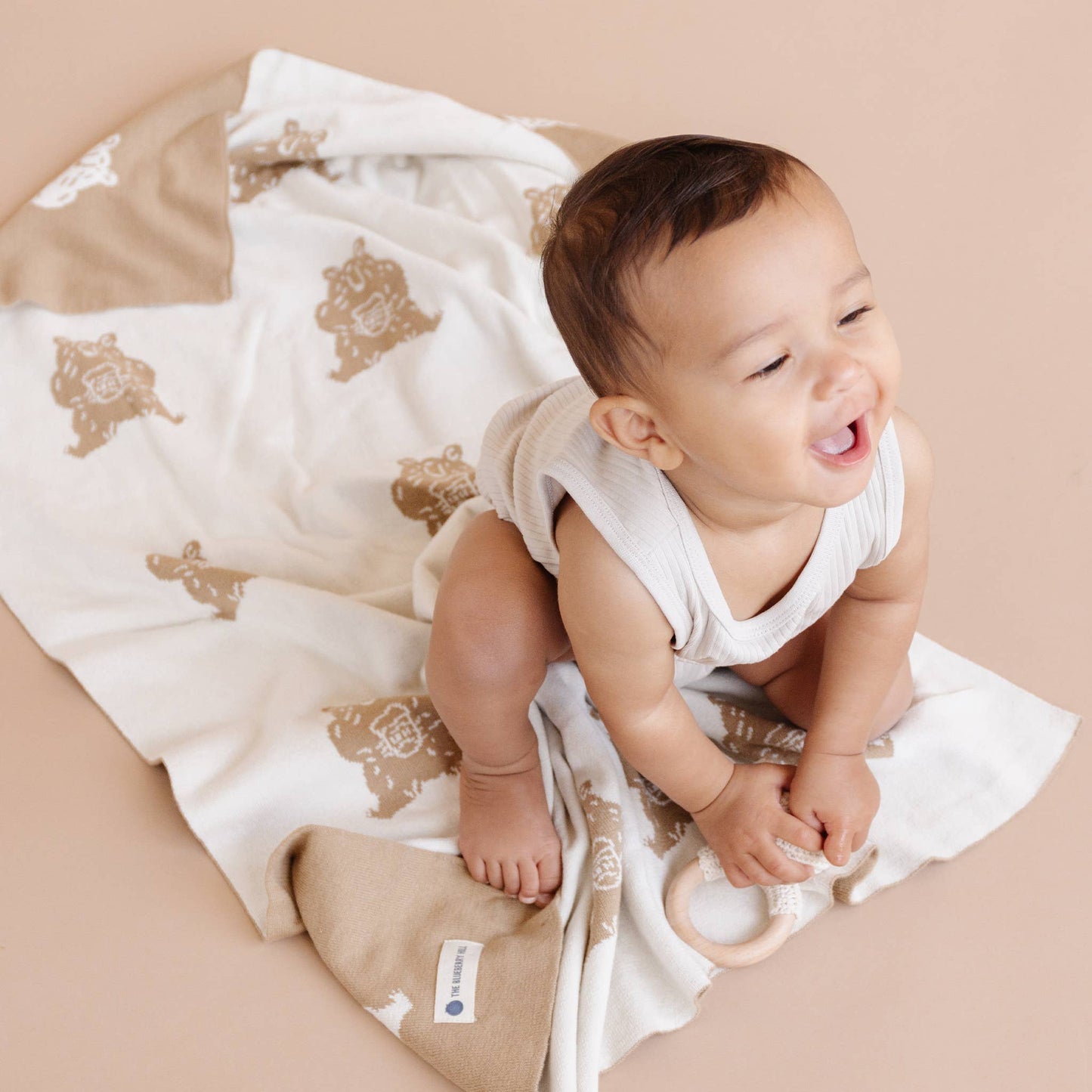 Set Honey Bear Blanket Hat and Teether Baby Gift Summer: Brown Bear