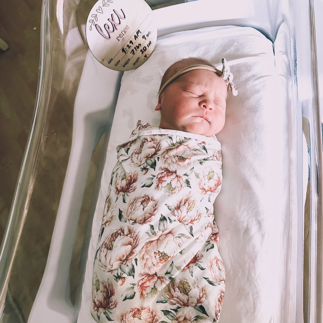 Penny - Limited Edition Organic Newborn Nest: 3pc-Mini Nest